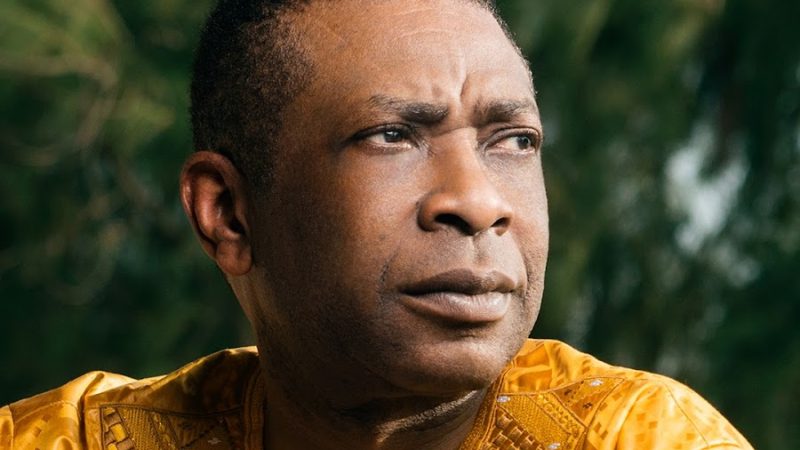 Scandales fonciers: Youssou Ndour parmi les « épinglés » pour 5 hectares