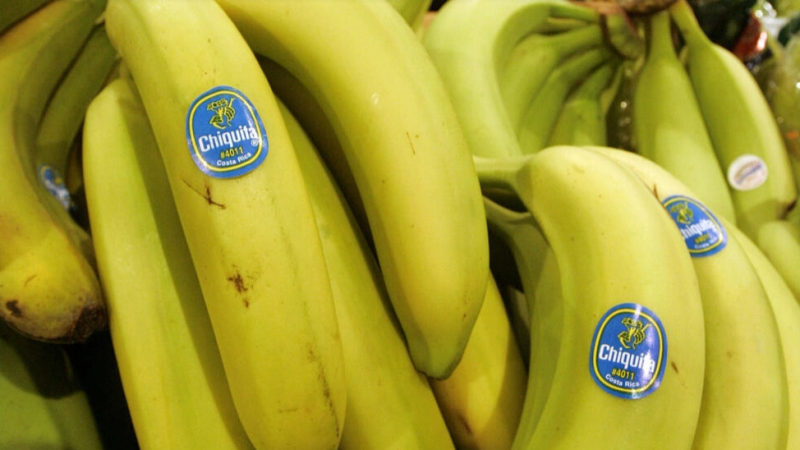 États-Unis: le géant de la banane Chiquita jugé coupable d’avoir financé des paramilitaires colombiens