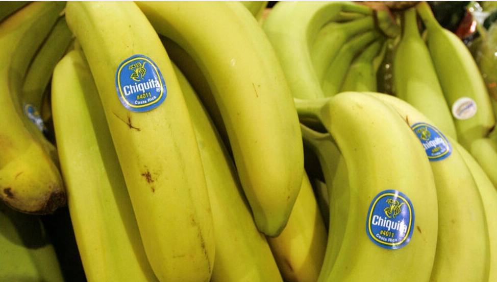 États-Unis: le géant de la banane Chiquita jugé coupable d’avoir financé des paramilitaires colombiens