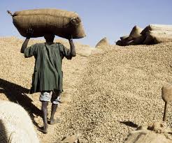 Kaffrine/Campagne arachidière : Des sacs d’arachide contenant du sable destinés aux cultivateurs distribués dans des commissions