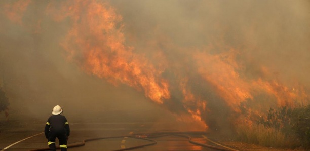 Feu de forêt : Six pompiers tués en Afrique du Sud