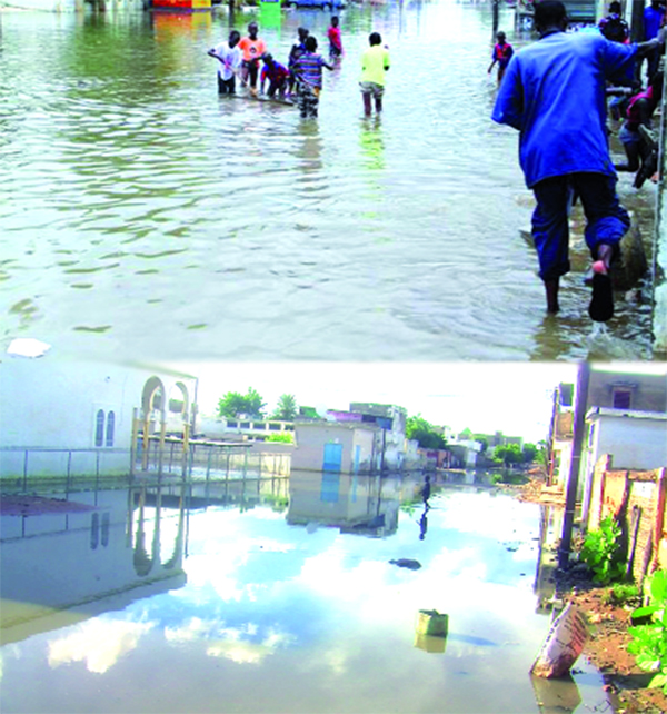 Succession intense de pluies : L’eau RAGE – De Touba à Kaffrine, plusieurs quartiers dans les eaux