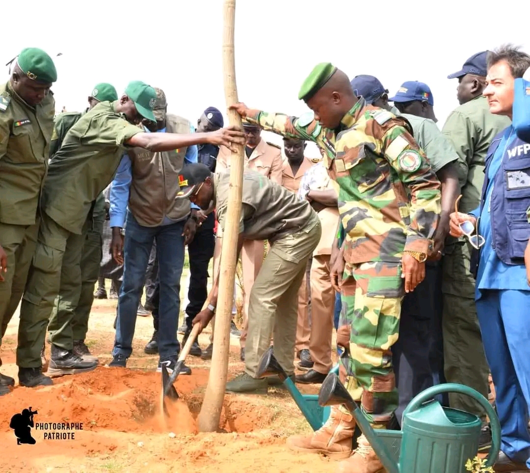 Ousmane Sonko appelle ses compatriotes à planter des arbres