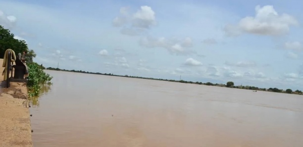 Fleuve Sénégal : Risque de débordement sur l’axe Bakel – Matam