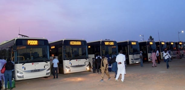 Magal – Augmentation des tarifs : El Malick Ndiaye envoie des bus DDD à la gare des beaux maraîchers