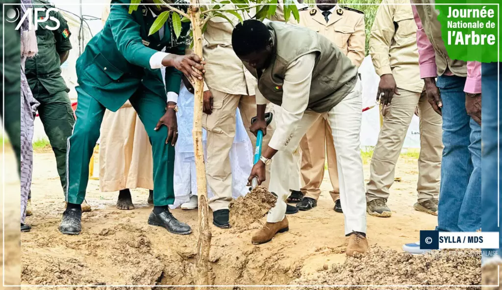 Touba : Bassirou Diomaye Faye lance la campagne nationale de reboisement