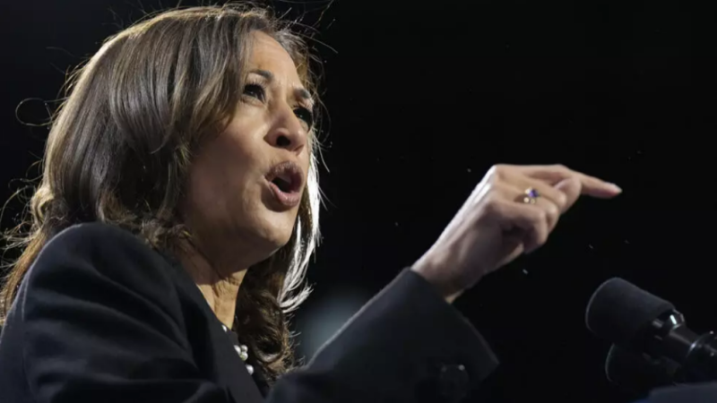 Présidentielle aux États-Unis: au coude-à-coude avec Donald Trump, Kamala Harris doit mobiliser sa base