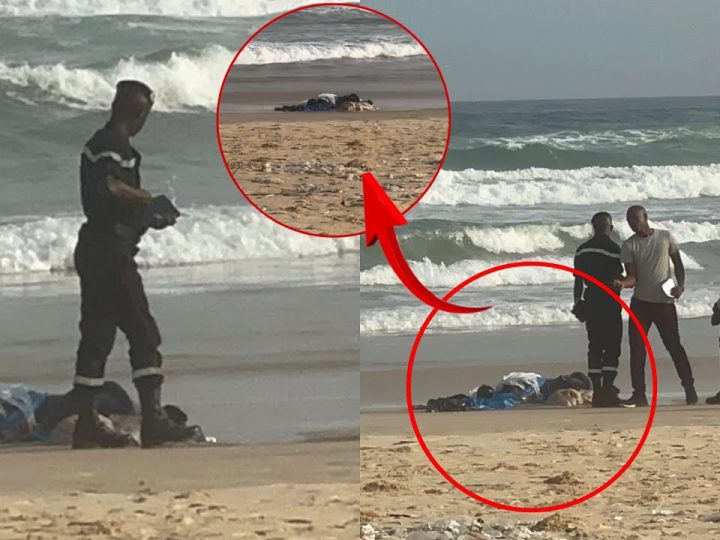 Découverte macabre sur la plage de Malika