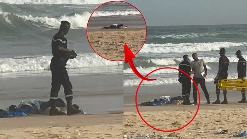 Découverte macabre sur la plage de Malika