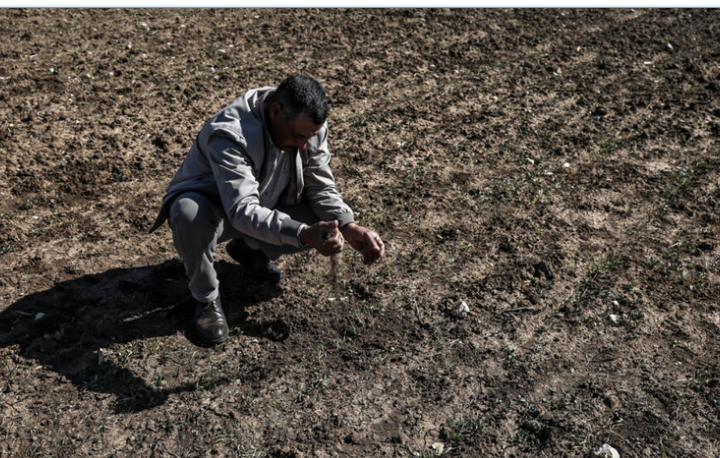 COP29: les défis du secteur agricole face au changement climatique