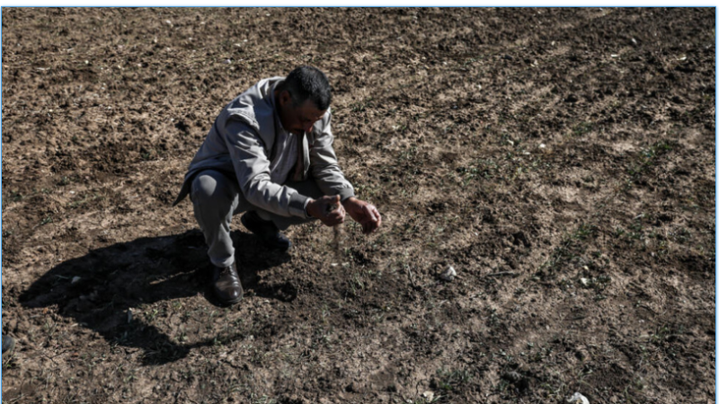 COP29: les défis du secteur agricole face au changement climatique