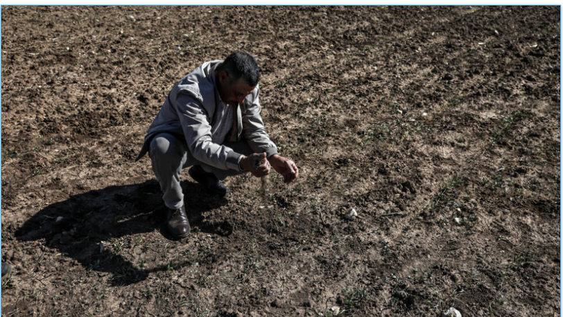 COP29: les défis du secteur agricole face au changement climatique