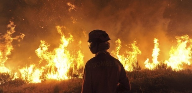 Tivaouane : Une série d’incendies inexpliqués ravage plusieurs concessions dans le village de Koul