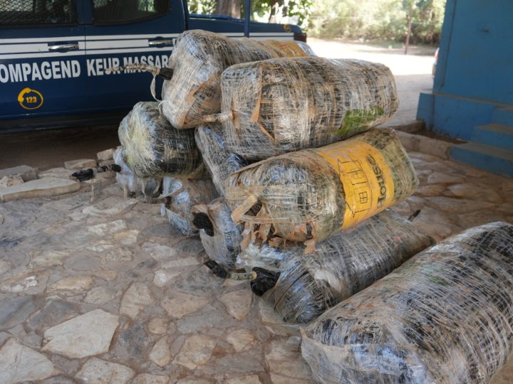 Thiaroye : 4 dealers arrêtés par la gendarmerie avec 480 kg de drogue