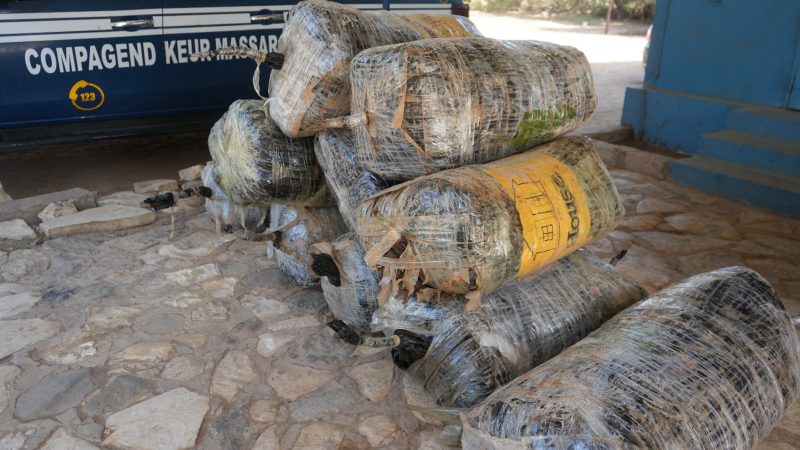 Thiaroye : 4 dealers arrêtés par la gendarmerie avec 480 kg de drogue